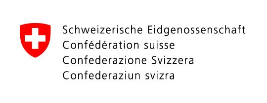 Efficient master data management